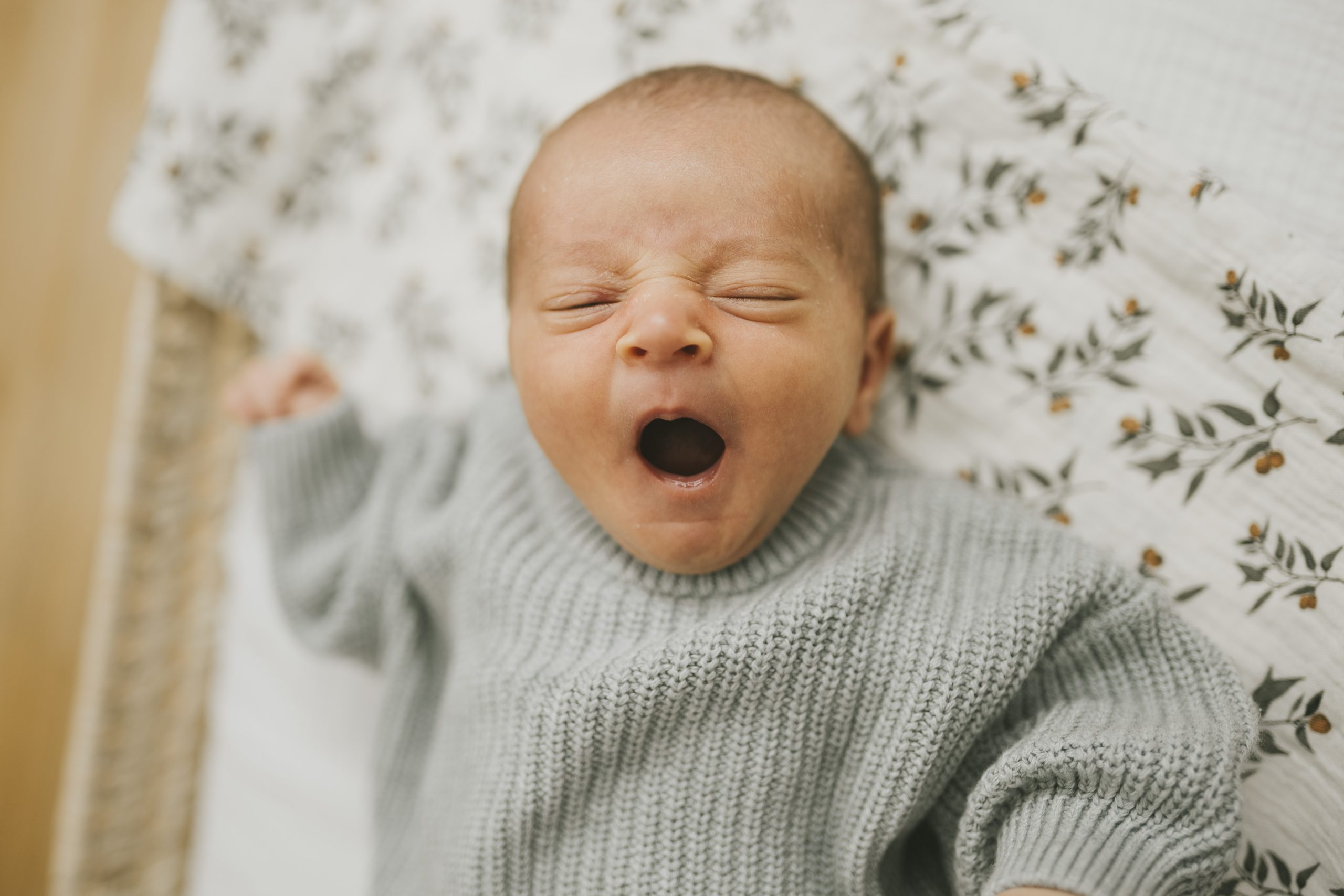 laura_kevin_oliver_nico_018_Meetmeinthenorth2025 dekide_oficina01